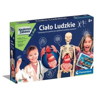 Zestaw naukowy Ciało ludzkie