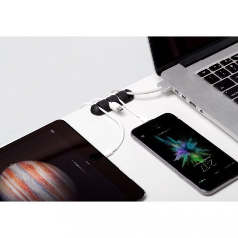 CableDrop multi uchwyt na 4 kable 2 szt. czarny CableDrop multi uchwyt na 4 kable 2 szt. czarny