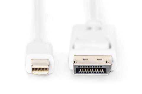 Kabel połączeniowy Displayport 1080p 60Hz FHD Typ miniDP/DP M/M 3m Biały Kabel połączeniowy Displayport 1080p 60Hz FHD Typ miniDP/DP M/M 3m Biały