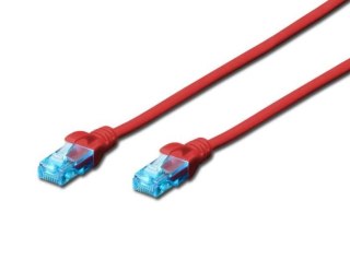 Patch cord RJ45-RJ45, kat.5e, U/UTP, AWG 26/7, PVC, 0.25m, czerwony