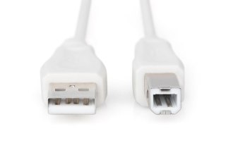 Kabel połączeniowy USB 2.0 HighSpeed Typ USB A/USB B M/M 3m Szary