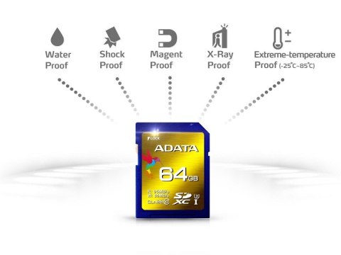 SD XC XPG 64GB UHS-1 U3/Class10 4K 3D SD XC XPG 64GB UHS-1 U3/Class10 4K 3D