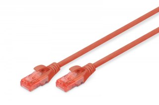 Patch cord U/UTP kat.6 PVC 2m Czerwony