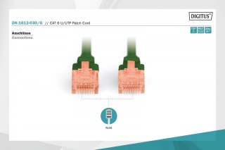 Patch cord U/UTP kat.6 PVC 3m Zielony
