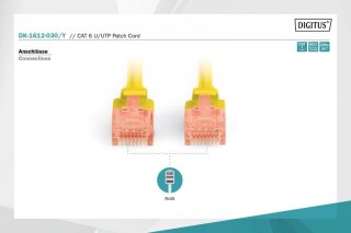 Patch cord U/UTP kat.6 PVC 3m Żółty