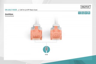 Patch cord nieekranowany U/UTP Kat.6 AWG 26/7 miedź LSOH 0,25m Szary