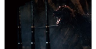 Gra PS4 Bloodborne GOTY