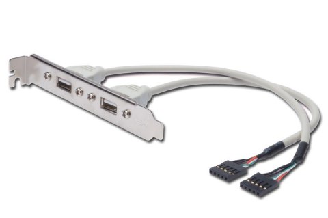 Kabel na śledziu USB 2.0 HighSpeed Typ 2xIDC (5pin)/2xUSB A M/Ż 0,25m Szary Kabel na śledziu USB 2.0 HighSpeed Typ 2xIDC (5pin)/2xUSB A M/Ż 0,25m Szary