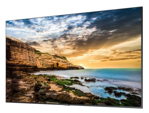 Monitor profesjonalny QE75T 75 cali Błyszczący 16h/7 300(cd/m2) 3840x2160 (UHD) Lite Player (only) 3 lata On-Site (LH75QETEPGC Monitor profesjonalny QE75T 75 cali Błyszczący 16h/7 300(cd/m2) 3840x2160 (UHD) Lite Player (only) 3 lata On-Site (LH75QETEPGC