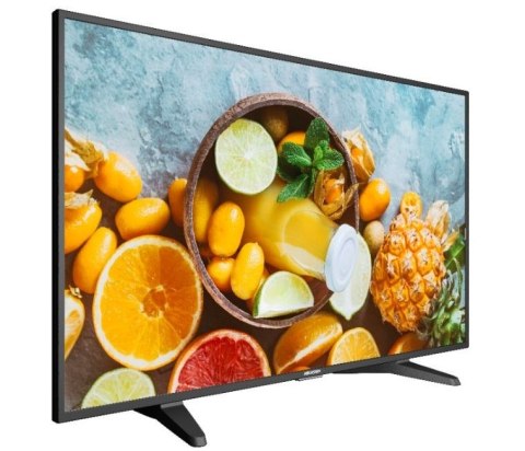 Monitor 43 DS-D5043QE Monitor 43 DS-D5043QE
