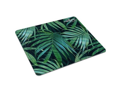 Podkładka pod mysz Foto Modern Art Palm Tree 220x180mm 10-Pack Podkładka pod mysz Foto Modern Art Palm Tree 220x180mm 10-Pack