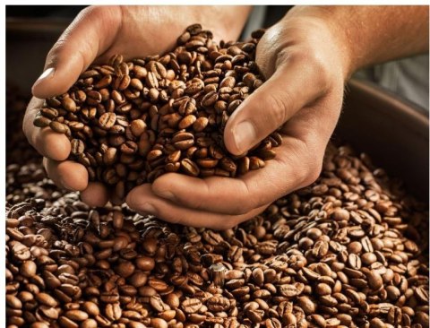 Kawa ziarnista Barista Cafe Crema 1000g Kawa ziarnista Barista Cafe Crema 1000g