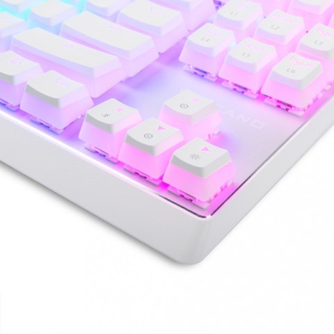 Przewodowa klawiatura mechaniczna RGB PUDDING EDITION biała Przewodowa klawiatura mechaniczna RGB PUDDING EDITION biała