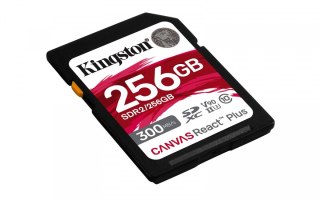 Karta pamięci SD 256GB Canvas React Plus 300/260 UHS-II U3