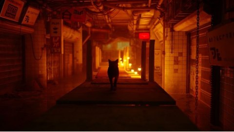 Gra PlayStation 4 Stray