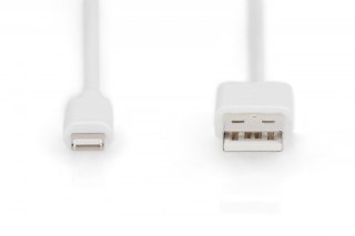 Kabel do transmisji danych/ładowania USB A/Lightning MFI 2m Biały