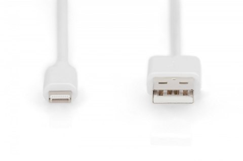 Kabel do transmisji danych/ładowania USB A/Lightning MFI 2m Biały Kabel do transmisji danych/ładowania USB A/Lightning MFI 2m Biały