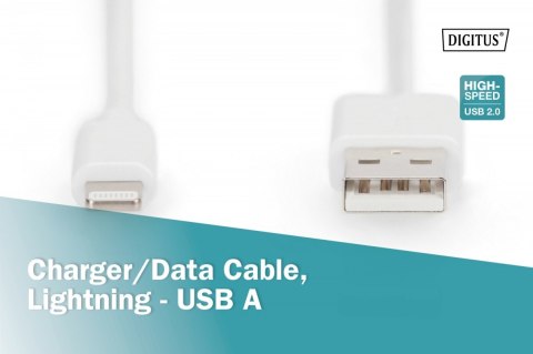 Kabel do transmisji danych/ładowania USB A/Lightning MFI 2m Biały Kabel do transmisji danych/ładowania USB A/Lightning MFI 2m Biały