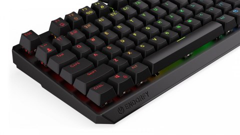 Klawiatura gamingowa Thock TKL Kailh BL RGB