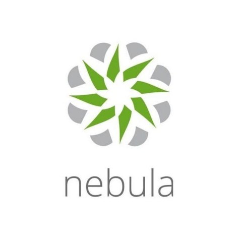 Licencja Nebula Professional Pack 4Y LIC-NPRO-ZZ4Y00F Licencja Nebula Professional Pack 4Y LIC-NPRO-ZZ4Y00F