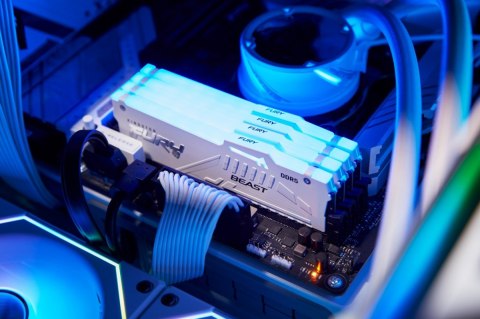 Pamięć DDR5 Fury Beast RGB 64GB(2*32GB)/6000 CL36 biała Pamięć DDR5 Fury Beast RGB 64GB(2*32GB)/6000 CL36 biała