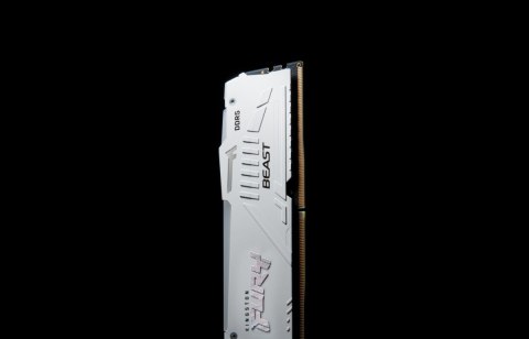 Pamięć DDR5 Fury Beast RGB 64GB(2*32GB)/6000 CL36 biała Pamięć DDR5 Fury Beast RGB 64GB(2*32GB)/6000 CL36 biała