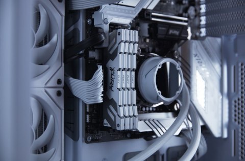 Pamięć DDR5 Fury Renegade 32GB(2*16GB)/7200 CL38 biała Pamięć DDR5 Fury Renegade 32GB(2*16GB)/7200 CL38 biała