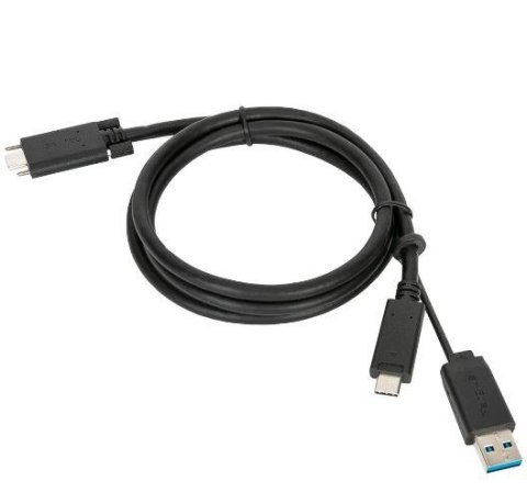 Stacja dokująca USB-C Universal DV4K DS with 100W PD