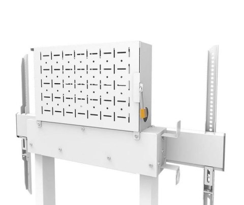 Uchwyt na monitor WL55-875WH1