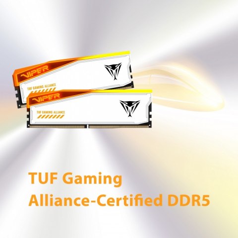 Pamięć DDR5 Viper Elite 5 RGB TUF 48GB/6600 (2x24GB) CL34