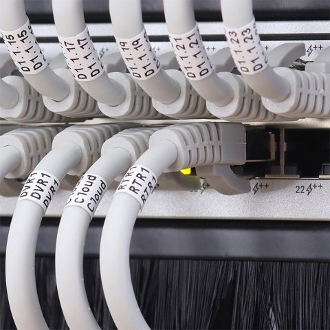 Przepust szczotkowy do szaf RACK 19" | 1U Przepust szczotkowy do szaf RACK 19" | 1U