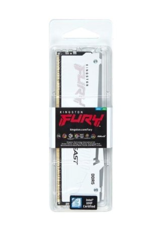 Pamięć DDR5 Fury Beast RGB 16GB(1*16GB)/6800 CL34 EXPO biała