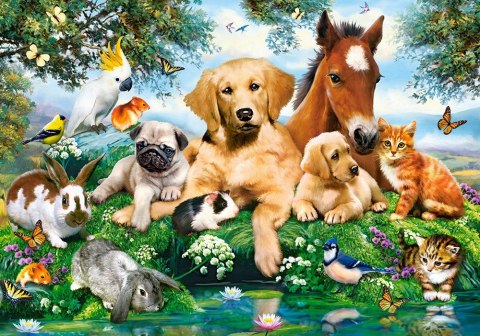 Puzzle 500 elementów Zwierzątka Letni kumple Puzzle 500 elementów Zwierzątka Letni kumple