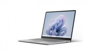 Laptop GO3 W11P i5/8GB/128GB/12,4 cali XJD-00014