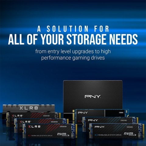 Dysk SSD 2TB M.2 2280 PCIe CS1030 M280CS1030-2TB-RB Dysk SSD 2TB M.2 2280 PCIe CS1030 M280CS1030-2TB-RB