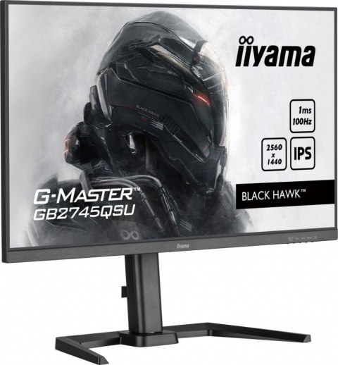 Monitor 27 cali GB2745QSU-B2,IPS,QHD,100Hz,1ms,2xUSB,300cd