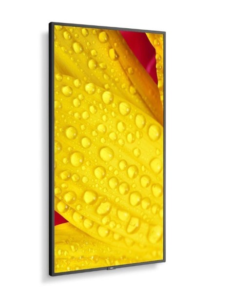 Monitor wielkoformatowy MultiSync M551-2 55 cali UHD 500cd/m2 24/7