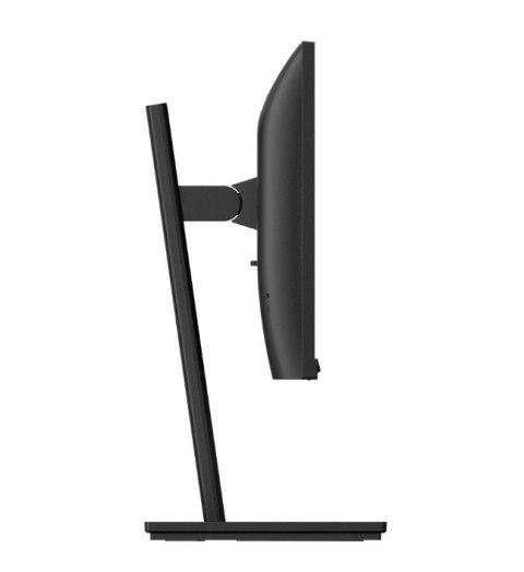Monitor 222S9JML 21.5 cala VA HDMI DP VGA Pivot