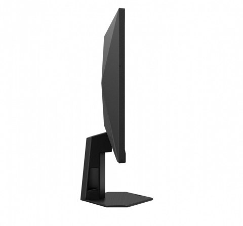 Monitor 25G4SRE 24.5 cala Fast IPS 300Hz HDMIx2 DP