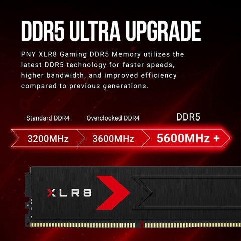 Pamięć DDR5 64GB (2x32) 6000 C30