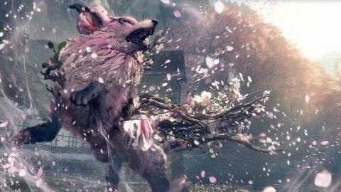 Gra Nintendo Switch 2 Wild Hearts S