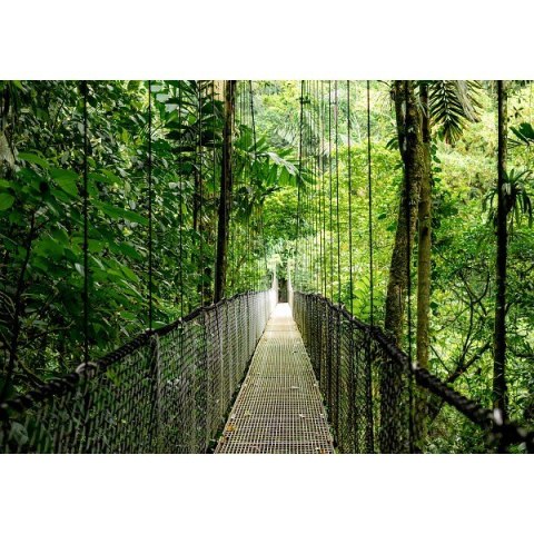 ProDesk 4 Tower G1i Desktop AI PC U7-265 1TB/16/W11P 9H7U8ET