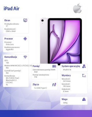 IPad Air 11 cali WiFi + Cellular 1TB Fioletowy