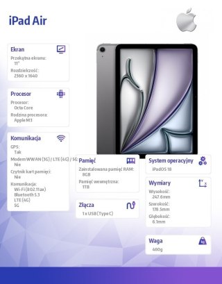 IPad Air 11 cali WiFi + Cellular 1TB Szary