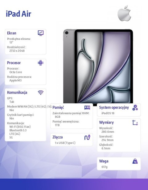 IPad Air 13 cali WiFi + Cellular 1TB Szary