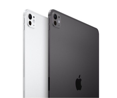 IPad Pro 11-calowy Wi-Fi 2 TB ze szkłem o nanoteksturze - Srebrny