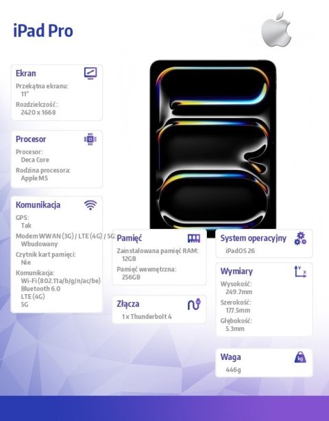 IPad Pro 11-calowy Wi-Fi + Cellular 256 GB ze standardowym szkłem - Gwiezdna czerń