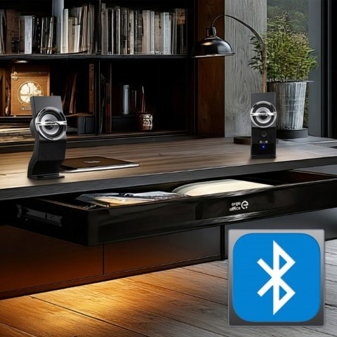 Głośniki komputerowe 6W AC805 USB Black