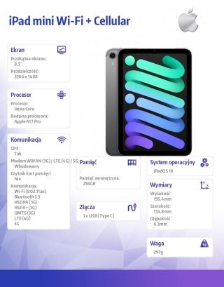 IPad mini Wi-Fi + Cellular 256GB Gwiezdna szarość