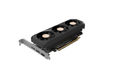 Karta graficzna GeForce RTX 5050 LP 8GB GDDR6 128bit 2DP/HDMI